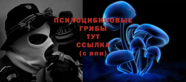 амф Алзамай