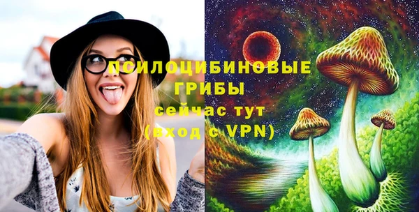 амф Алзамай
