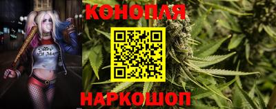 ALPHA PVP Малгобек