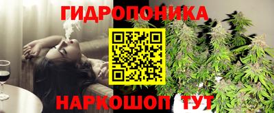 ALPHA PVP Малгобек