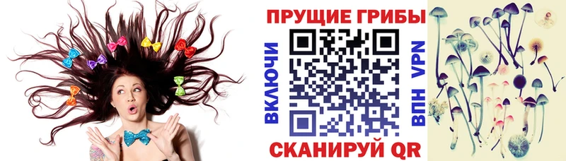Псилоцибиновые грибы прущие грибы  mega ССЫЛКА  Гурьевск 