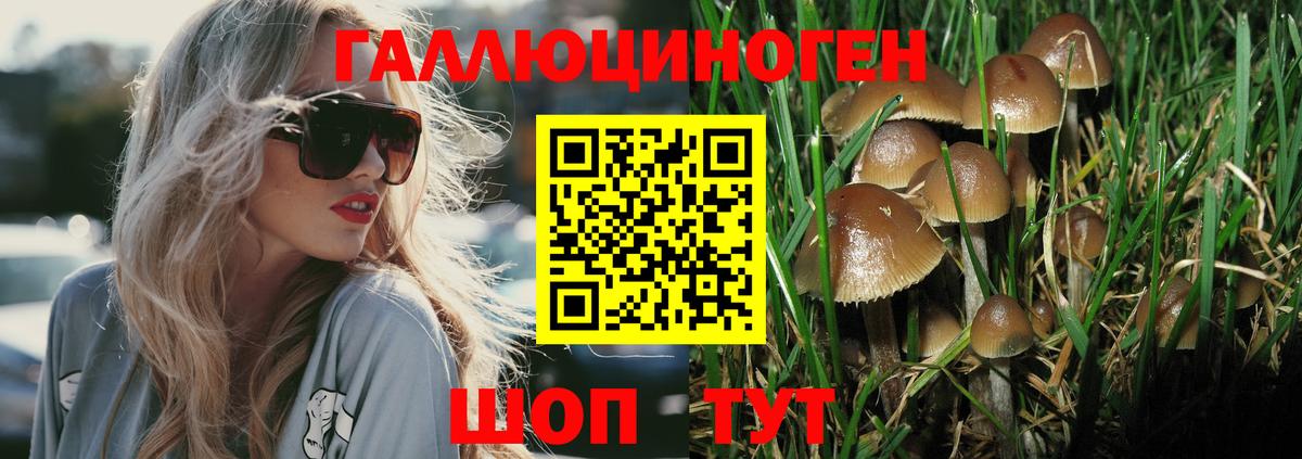 Галлюциногенные грибы MAGIC MUSHROOMS Гурьевск