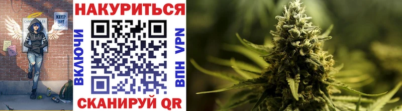 Бошки Шишки Amnesia MEGA онион Гурьевск как найти наркотики